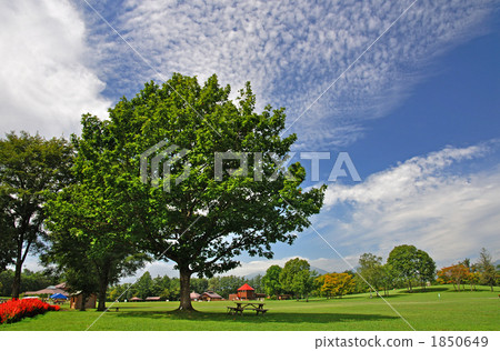Koiwai Farm Walking · Aki Cloud Spreading Koiwai Farm Koiwai Farm Walking · Aki Cloud Spreading Koiwai Farm 1850649