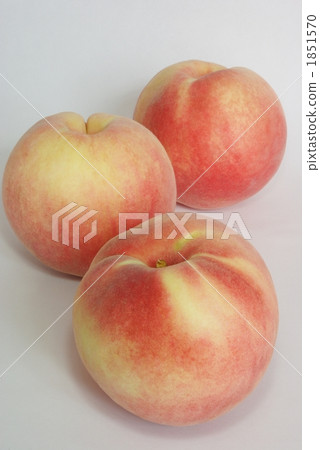 peach  1851570