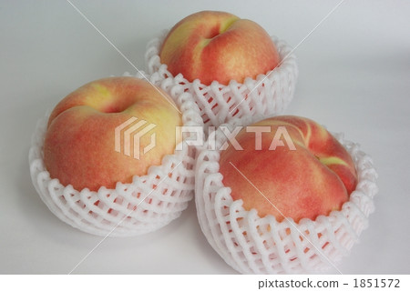 peach  1851572