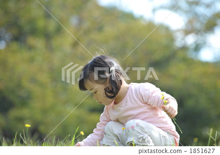 Flower picking 1851627