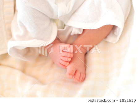 Baby's foot 1851630