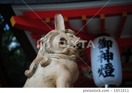 國頭犬駒 國頭犬駒 1851811