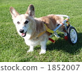 Wanco and wheelchair (first day) 1852007