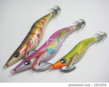 用於產卵的多個誘餌樹 1852656