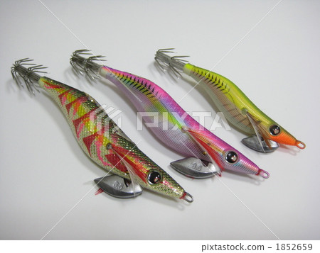 用於產卵的誘餌樹 1852659