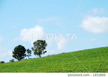 父母和孩子的樹 1852668