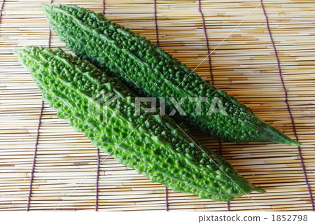 Bitter gourd 1852798