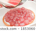 Making tarts 1853060