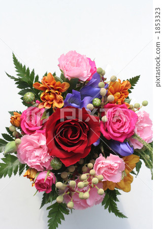 生日花籃 生日花籃 1853323