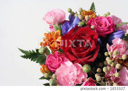 生日花籃 1853327