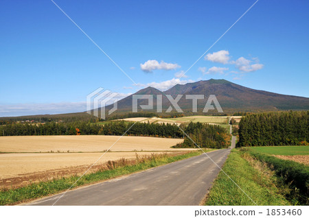 一條小山的路 1853460