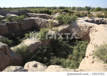 Carp Kururugan Kara 1853763