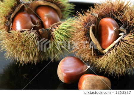 牧場升級 1853887