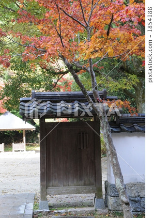Kintai橋秋天 Kintai橋秋天 1854188
