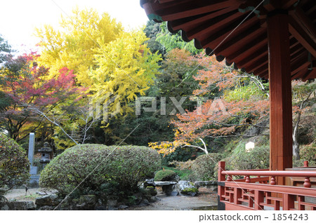 Kintai Bridge Fall 1854243