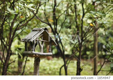 鳥類飼養區 1854947