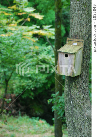 birdhouse, nest box, nest 1855849
