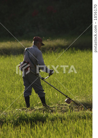 Farm period Farm period 1856170