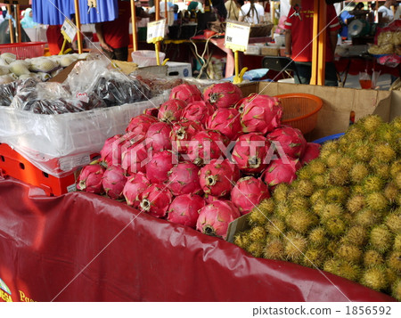 Dragon fruit of stalls Dragon fruit of stalls 1856592