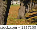 Autumn park 1857105