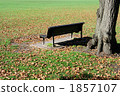 Autumn park 1857107