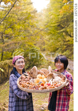 採蘑菇 父母和小孩 親子 1857218