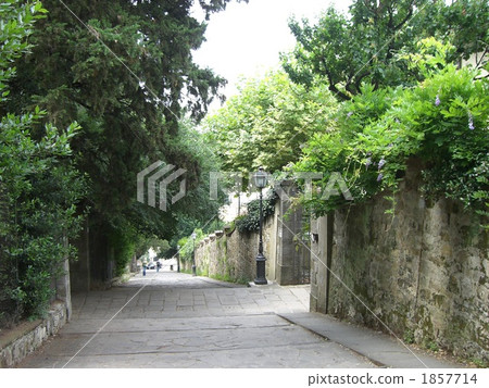 Stairs in the outskirts of Florence Stairs in the outskirts of Florence 1857714