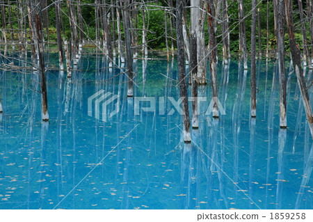 aoike, blue pond, pond 1859258