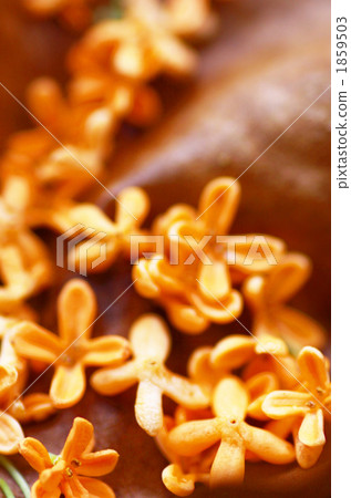 Flowers Flowers 1859503