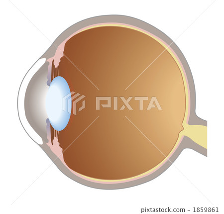 Eyeball 1 1859861