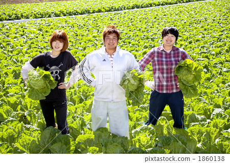 Successor agriculture 1860138