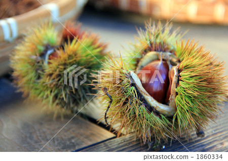 Dagger Dagger 1860334