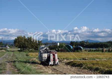 Scenery of harvest time Scenery of harvest time 1860743