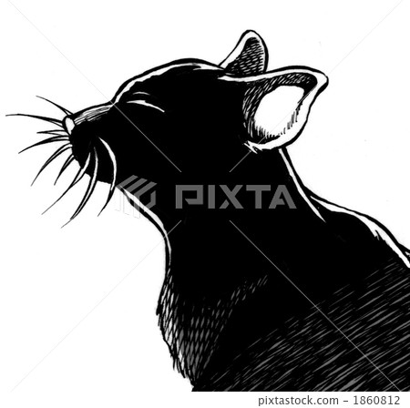 黑貓 黑貓 1860812