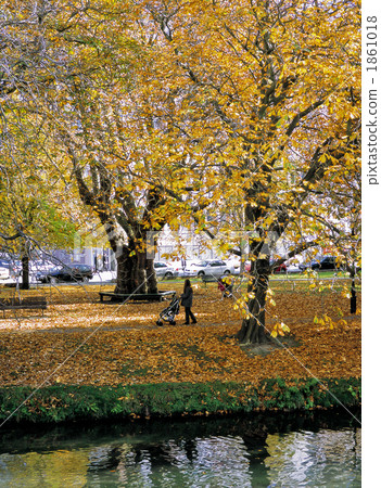 雅芳河的黃葉 雅芳河的黃葉 1861018