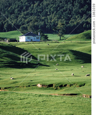 綠色牧場 綠色牧場 1861039