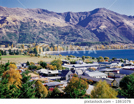 Autumn Wanaka Hu 1861076