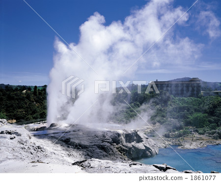 Whakarewarewa geyser 1861077
