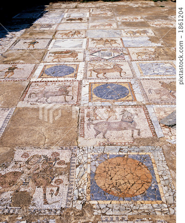 迦太基廢墟馬賽克路 1861204