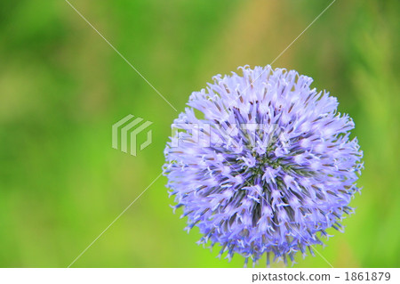 HIGH TIES HIGH TIES 1861879