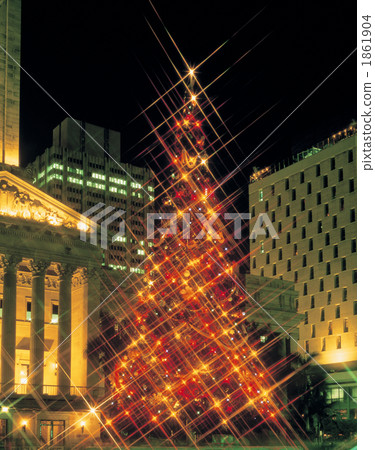Midsummer Christmas Tree in Brisbane 1861904