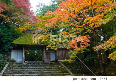 Autumn's autumn leaves hospital 1861992