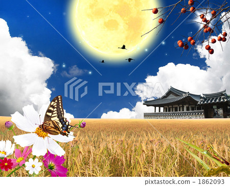 Akiyama _k _ 321260 Akiyama _k _ 321260 1862093