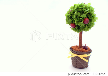 修剪 修剪 1863754