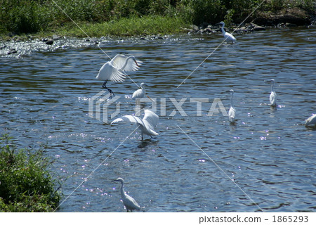 Daughter's proposal 2 1865293