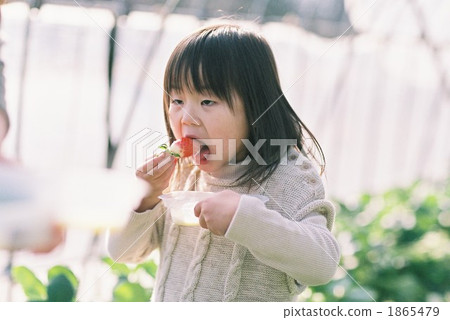 人 人物 人類 1865479