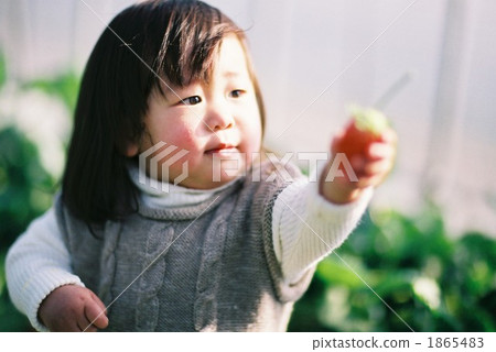 人 人物 人類 1865483