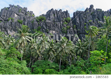 Mountains of petty rock and palm tree forest 1865583