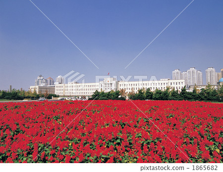 大連人民政府 1865682