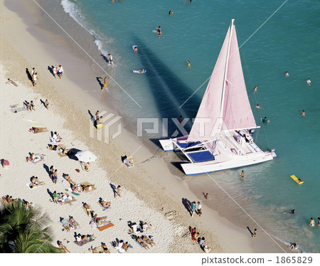 威基基海灘 威基基海灘 1865829